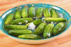 Small cucumbers soaking in ice water