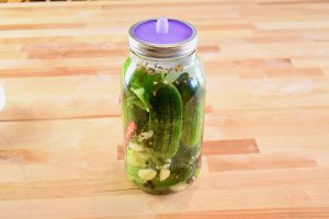 Jar with all ingredients and a rubber pickle pipe lid