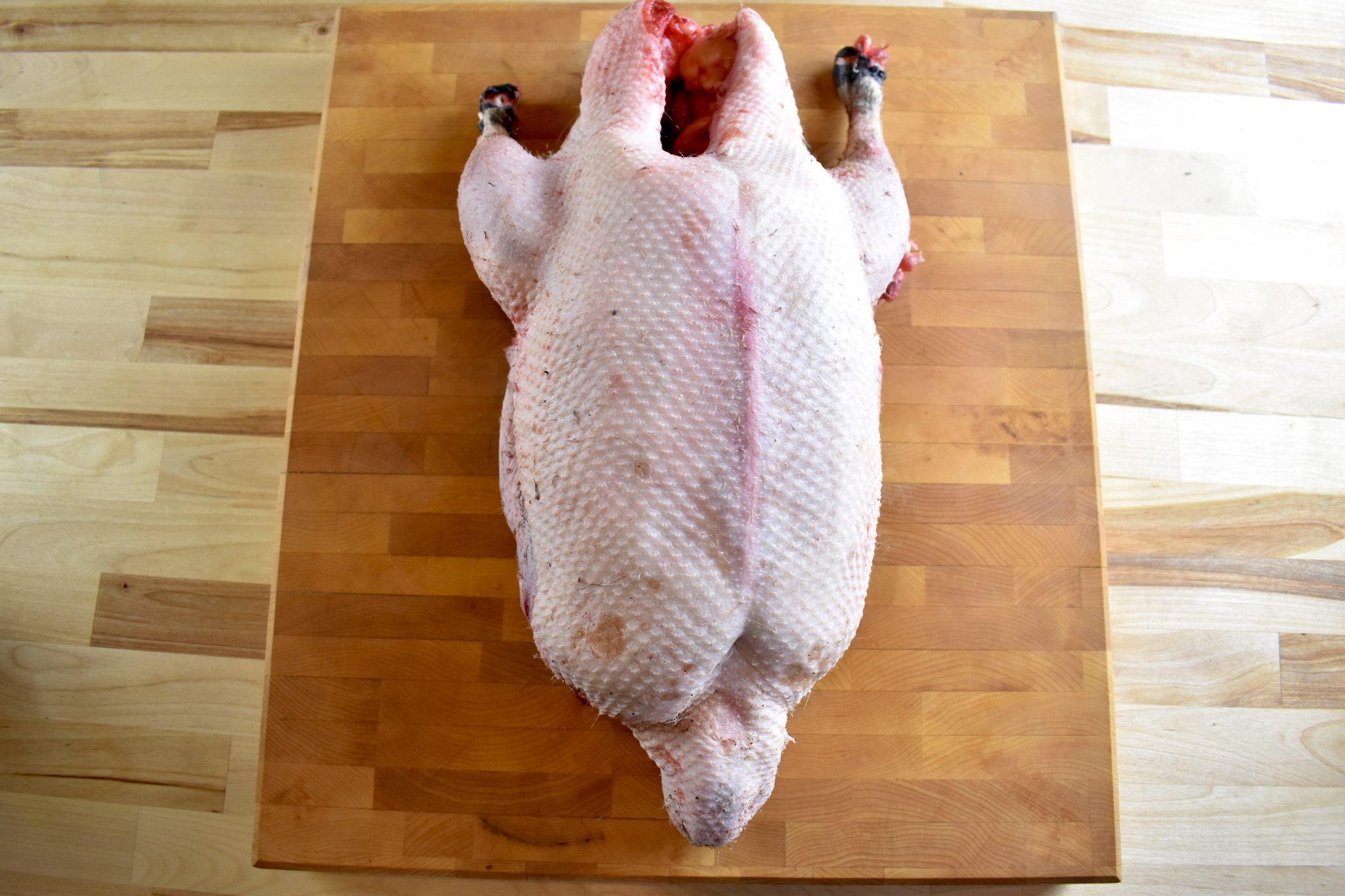 plucked wild canada goose on a cutting board