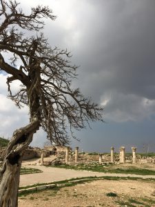 dead tree with roman ruins and dark clouds in the background