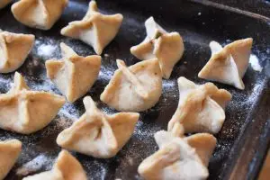 Venison Turkish Manti