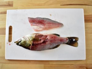 Filleting bass discount
