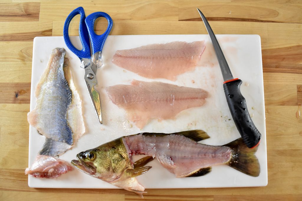 How to Fillet a Bass Fish  
