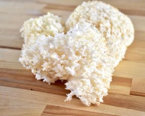 comb's tooth hericium