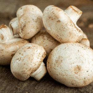How to Harvest Pavement Mushrooms