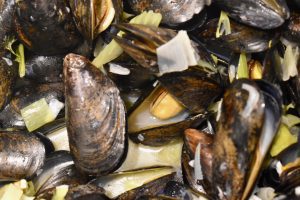 mussels