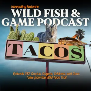 wild taco