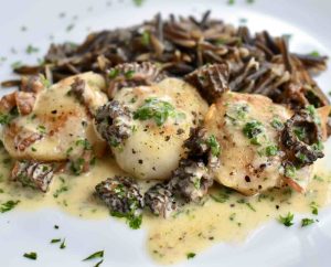 Pickerel Cheeks and Wild Rice with a Creamy Morel Vermouth Sauce